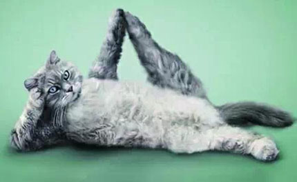 今年春节好晚呀 都快撑不下去了 苏州车网--上