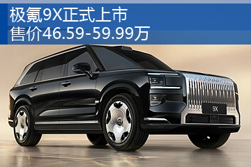 极氪9X