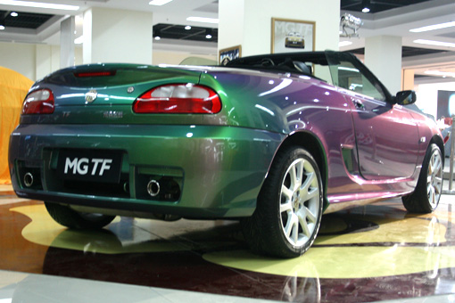 传说中的变色龙――mgtf